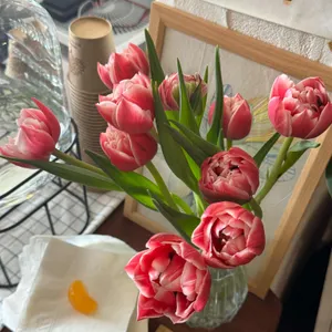 선데이 아보 리뷰 사진
