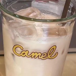 카멜 사진