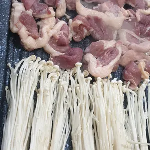 오리촌 사진