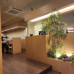샤브로 21 리뷰 사진