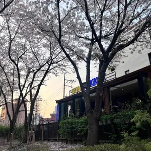 리틀방콕 리뷰 사진