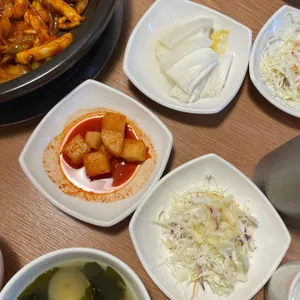 네모오징어 사진