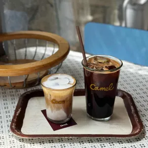 카멜 사진