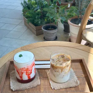 유칼립투스농장 사진