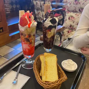 캔모아 리뷰 사진