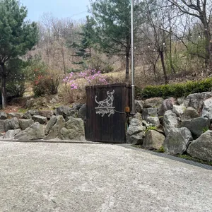 내대지238 리뷰 사진