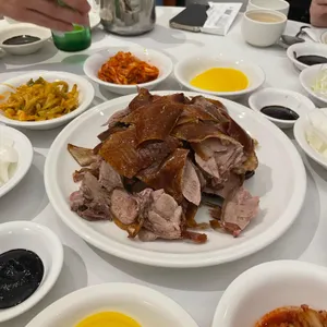 베이징코야 사진