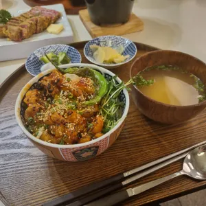 털복숭이고양이 사진