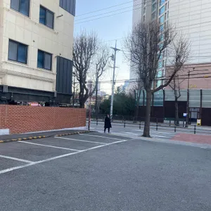 등나무집 리뷰 사진