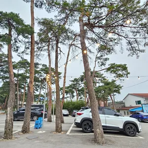 강릉짬뽕순두부 리뷰 사진
