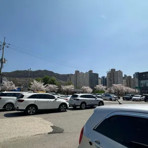 오마이쭈꾸미 리뷰 사진