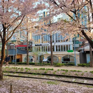 서교주담 리뷰 사진