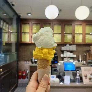 젤라띠젤라띠 사진