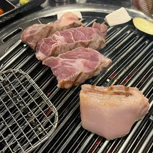 기쁨돼지 사진