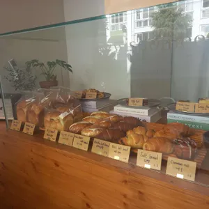 위즈더미 사진