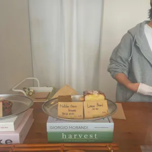 위즈더미 사진