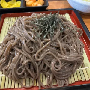 마초야 사진