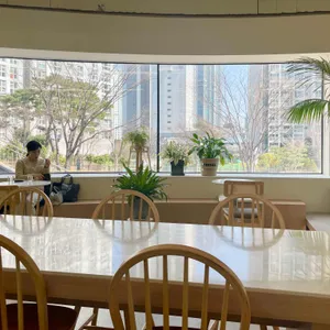 스칼라독스 리뷰 사진