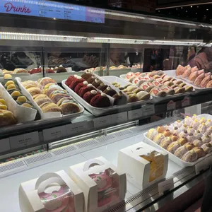 노티드 사진
