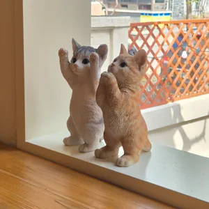 누스 리뷰 사진