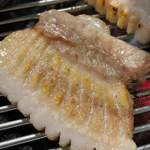 뭉치 사진