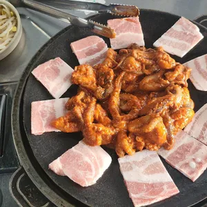 신스쭈꾸미 사진
