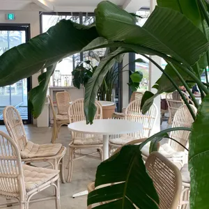 카페 스테이인터뷰 리뷰 사진