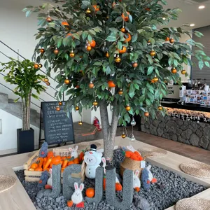 귤당리 리뷰 사진