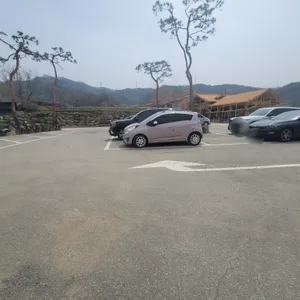 삼일보신 리뷰 사진