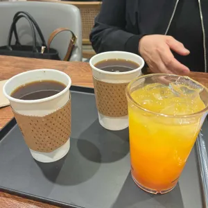 로스터비 보테가 사진