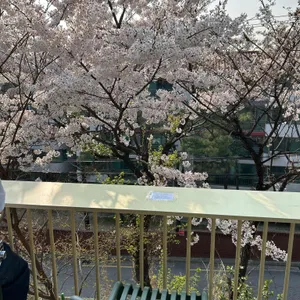 프루프 인 더 커피 리뷰 사진