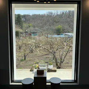 배배 젤라또 대표 사진