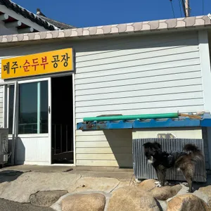 초당본점 리뷰 사진