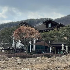 테라스의아침 리뷰 사진