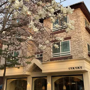 코코에르 리뷰 사진