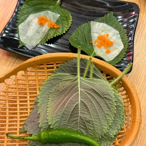 쭈마담 사진