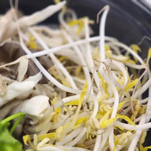 청록미나리식당 리뷰 사진