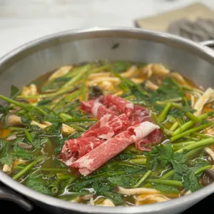 리리샤브 사진