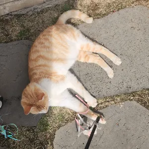 카페 해오름 리뷰 사진