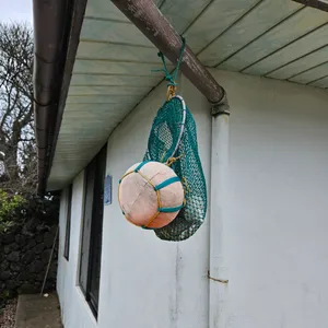 당근과깻잎 리뷰 사진