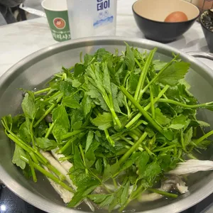 리리샤브 사진