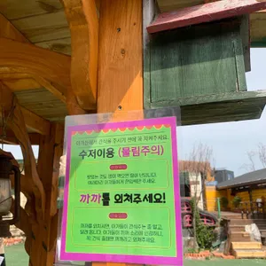 고양이역 사진