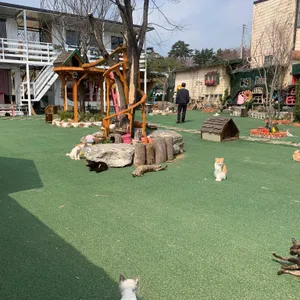 고양이역 리뷰 사진