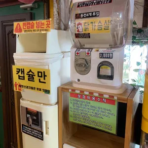고양이역 사진