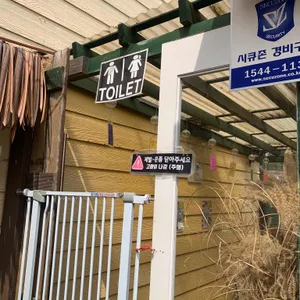 고양이역 사진