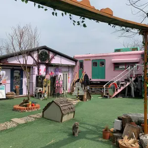 고양이역 사진