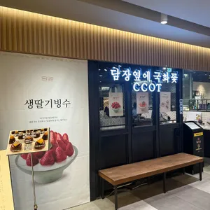 담장옆에국화꽃 리뷰 사진