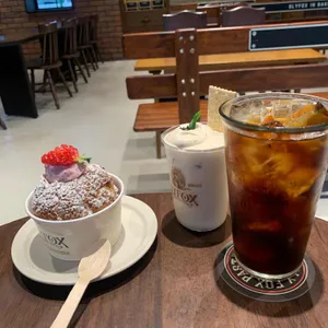 슬라이폭스 사진