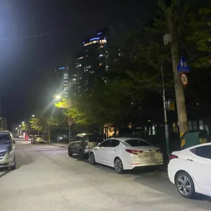 사비아 리뷰 사진