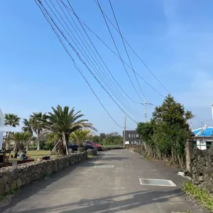애플망고1947 리뷰 사진